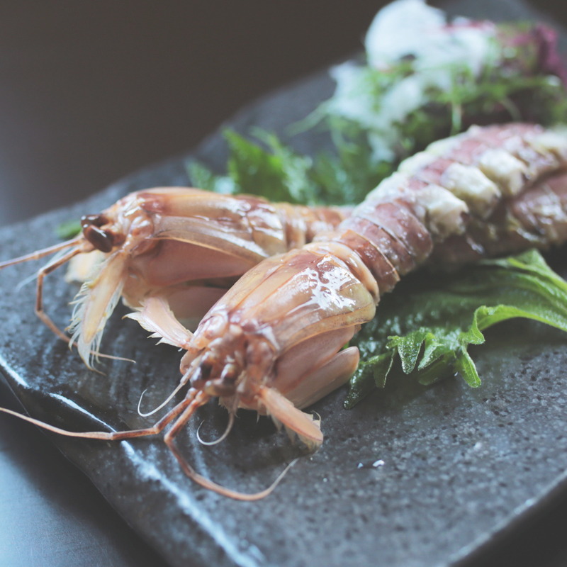 瀬戸内海の珍味シャコ