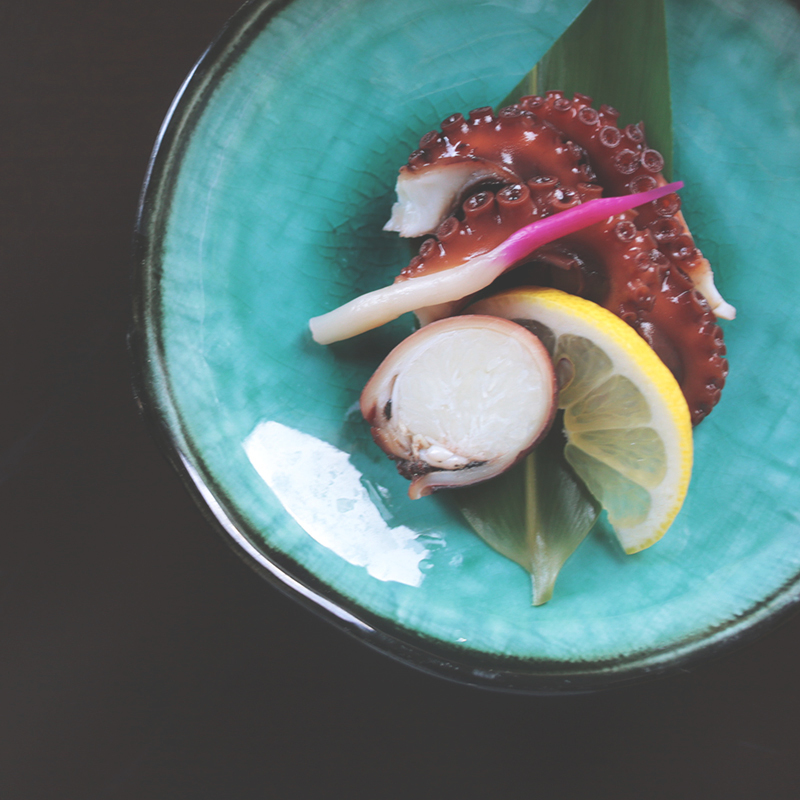 瀬戸内海のイイダコ